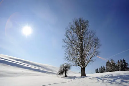 Winterfreuden Bild 2